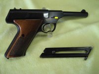 Colt 1.jpg