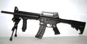 M&P15-22_ 006.jpg