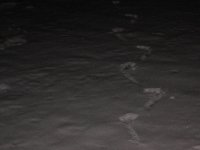 IMG_2170.jpg