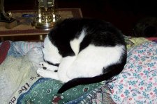 000_1218.jpg
