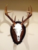 photo (1)Devil Buck Mount.jpg