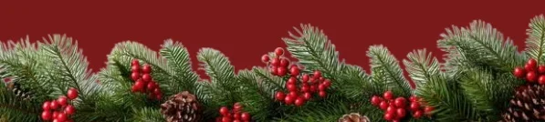 Christmas decor.webp