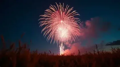 1767361749180.webp