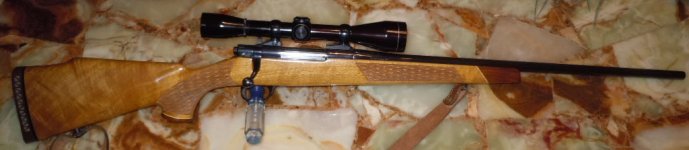 Rifles 015.JPG