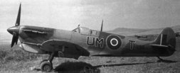 UM-T_289.jpg