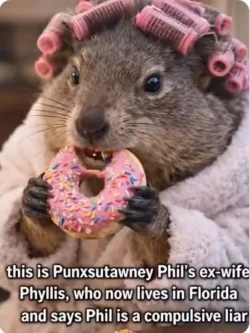 Phils Ex.webp