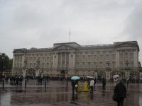 IMG_7487.jpg