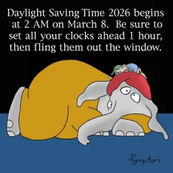 Boynton on DST.webp
