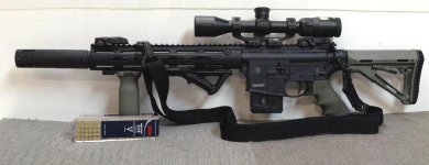 S&W MP 15-22 2012 00333.jpg
