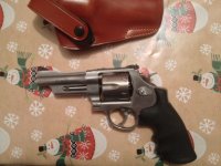 mountain gun.JPG