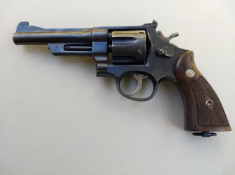S&W451950tgt5.webp
