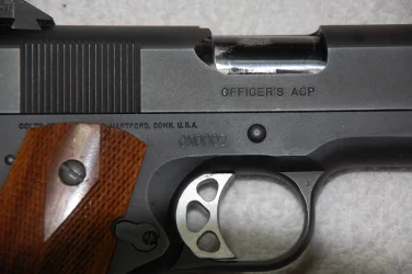 ARMS INVENTORY-SMALL ARMS 003.webp