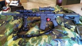 AR Whole Gun.jpg