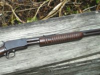 Mexican Bowie 011.jpg