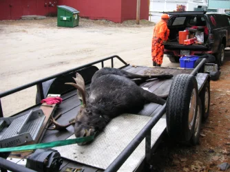 PICT0373.webp