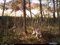 CDY_0039.jpg