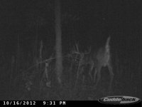 CDY_0037.jpg