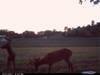 CDY_0834.jpg