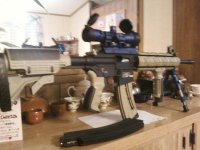 my m&p with scope.jpg
