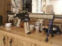 MY M&P 15-22  2.jpg