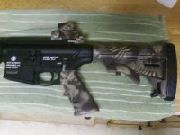 camo my m&p.jpg