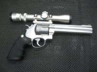 44 with scope.jpg