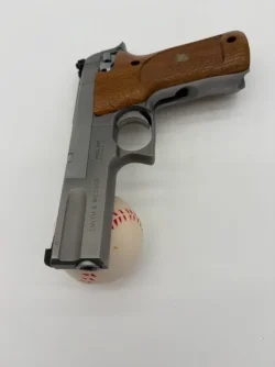 S&W 2206 i.webp