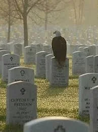 memorial day.webp memorial day.webp
