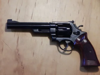 1955 Target.webp