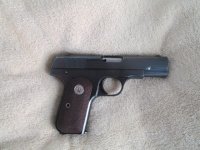 Our Colts 001.JPG