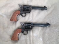 Our Colts 005.JPG