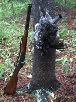 94 and grouse in rain.webp