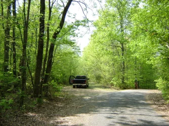 Copy of April 18 Tenn 015.webp