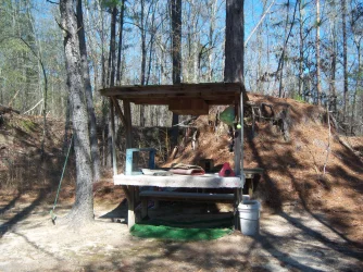 100_1082.webp