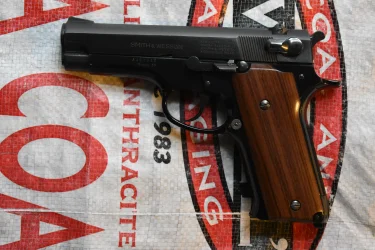 S&W model 59 new wood 004.webp S&W model 59 new wood 004.webp