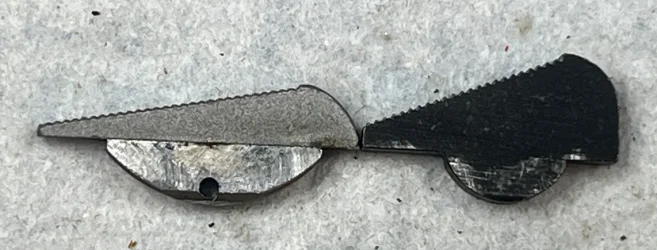 IMG_1509a.webp