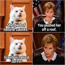 smudge roof.webp