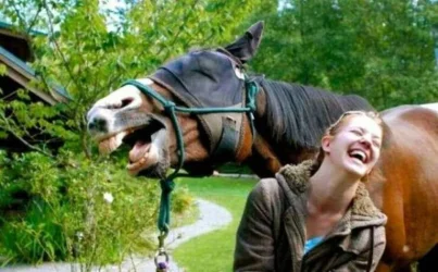 1784339335266.webp