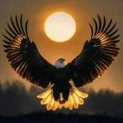 1784339421529.webp