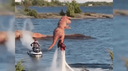 1784340656282.gif
