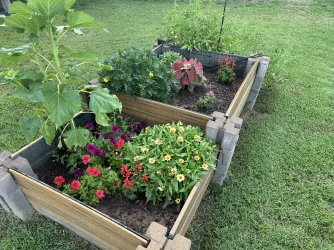 2026-07-18 backyard (5).webp 2026-07-18 backyard (5).webp