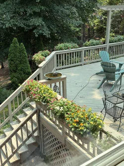 window box view from kitchen window July 2026.webp window box view from kitchen window July 2026.webp