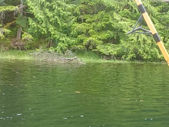 KIMG20260718_160851770.webp