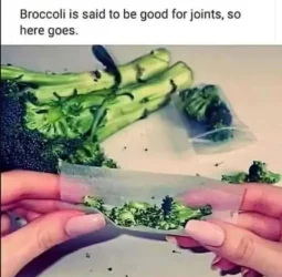 ye5e.webp