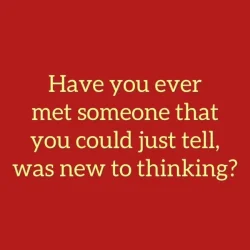 543206-46393a9c083366101b59630533ad2bce.webp
