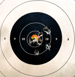 Gold Cup Target 1.17.25.webp