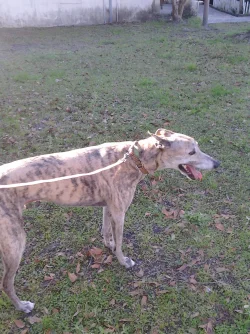 0219181650.webp
