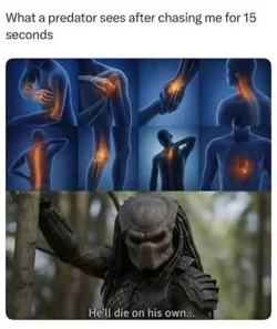predator-chase.webp