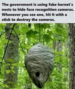 543897-7b8f0fbc2376515e9def1c33b1fc5bd6.webp