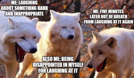 laughing.webp